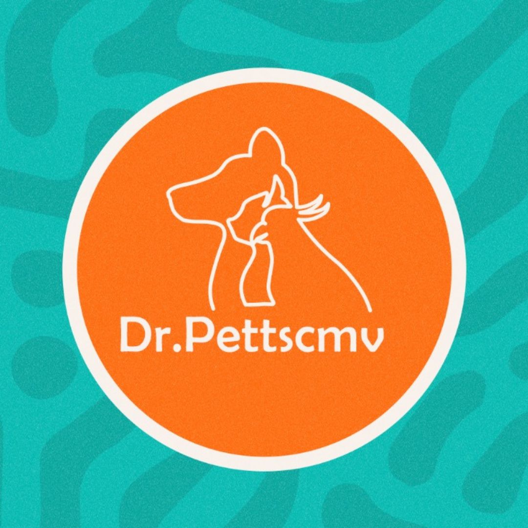 WhatsApp Image 2025-03-27 at 14.32.01